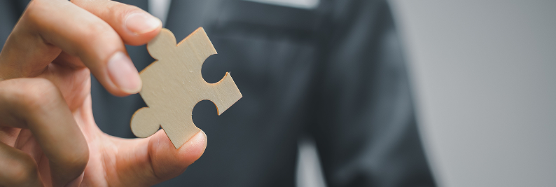 api development and integration
