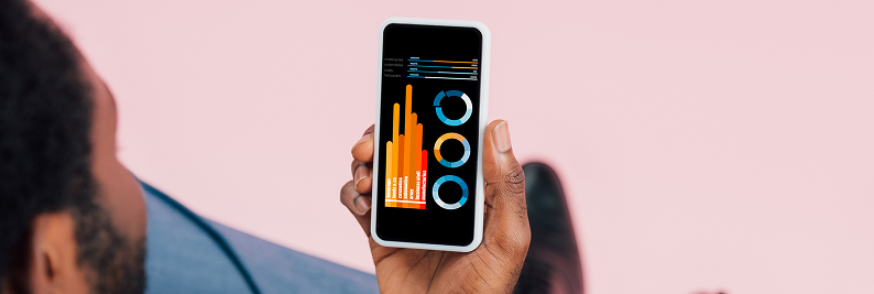 api development and integration